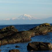 Gowland Point Pender Island